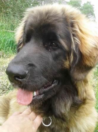 IMG-20180720-WA0007a