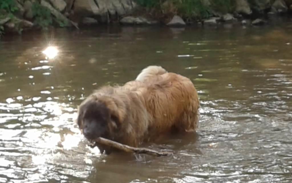 IMG-20180722-WA0005a