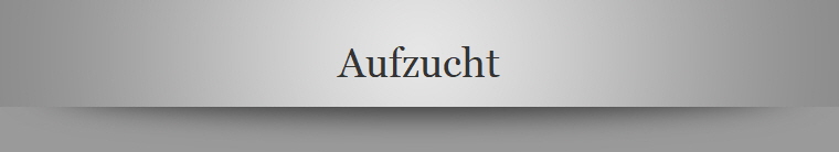 Aufzucht