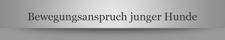 Bewegungsanspruch junger Hunde