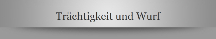 Trchtigkeit und Wurf