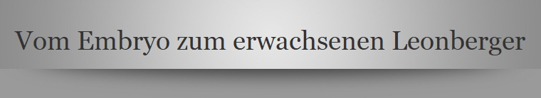 Vom Embryo zum erwachsenen Leonberger