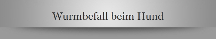 Wurmbefall beim Hund
